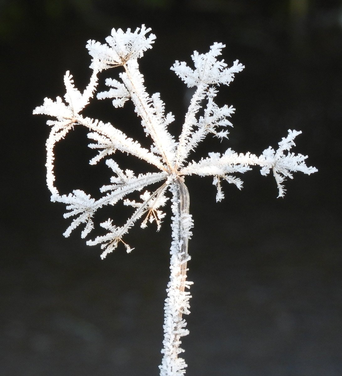 klaaswillemb's tweet photo. Nog wat winterpracht uit eigen land voordat we (vanaf maandag) overschakelen naar onvervalst herfstweer bij 10° C en (veel) regen #easterskar #WinterWeather #NaturePhotography https://t.co/U68LZYzqDg
