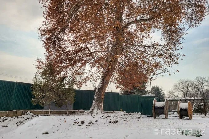 DestCentralAsia's tweet photo. Parking trumps cultural heritage in Tashkent as the early 20thC building that provided the backdrop to Alexander Solzhenitsyn’s acclaimed novel Cancer Ward is reportedly demolished to provide parking for visitors to a nearby medical building #Uzbekistan
https://t.co/gzwF39wW04 https://t.co/vhCTjW4LSy