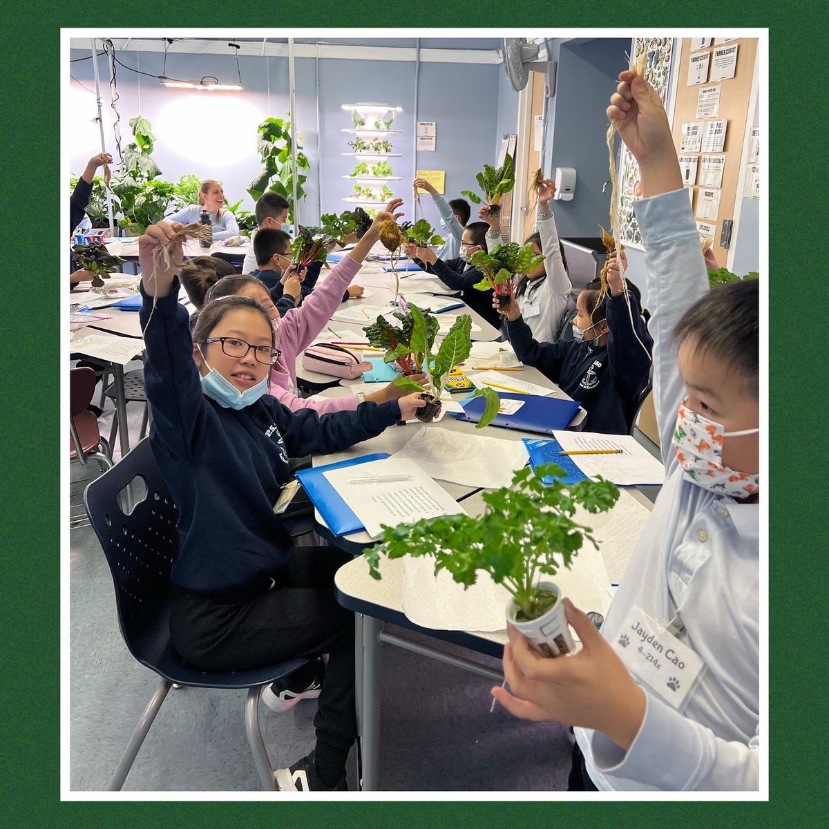 Hydroponics <a href="/Realdavidcbanks/">David C. Banks</a> <a href="/pretto_david/">Dr. David Pretto</a> <a href="/uft/">UFT</a> <a href="/nycschools/">NYC Public Schools</a> <a href="/followcsa/">CSA</a> <a href="/csabrooklyn/">CSA Brooklyn</a> <a href="/nycespa/">NYCESPA</a> <a href="/20_doe/">Community School District 20</a> <a href="/uft_elementary/">UFT Elem Division</a> <a href="/nycmayor/">Mayor Zohran Kwame Mamdani</a> <a href="/lucia_medina3/">Dr. Lucia Perez-Medina</a> <a href="/danweisbergnyc/">Dan Weisberg</a> <a href="/CahnFellows/">Cahn Fellows Program</a> @D20StudentSvcs #StopHateSpreadKindnessItIsThePS160Way @Stu_Chasabenis