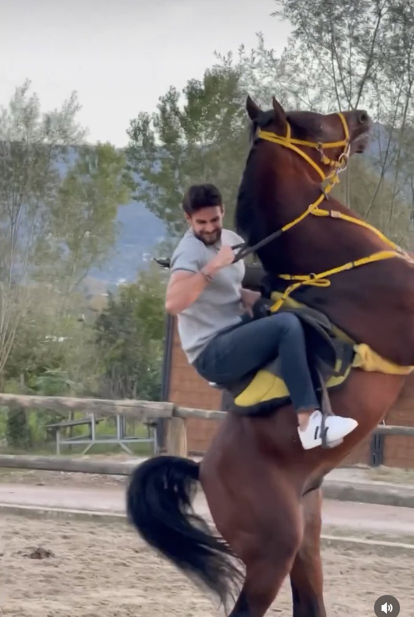 Dündar Bey 🤎

#BatuhanKaracakaya