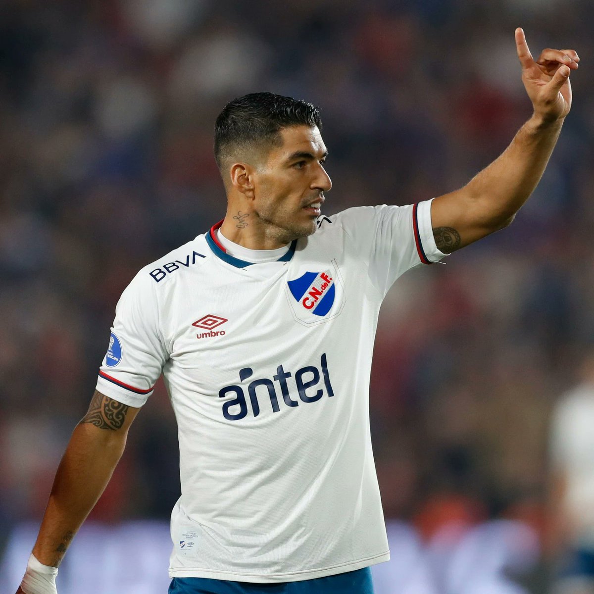 DTransferencias's tweet photo. Inter Miami está interessado na contratação de Luis Suárez, de acordo com o jornalista @NicoSchira.
O avançado de 35 anos encontra-se livre no mercado. https://t.co/JXpvZoX90Q