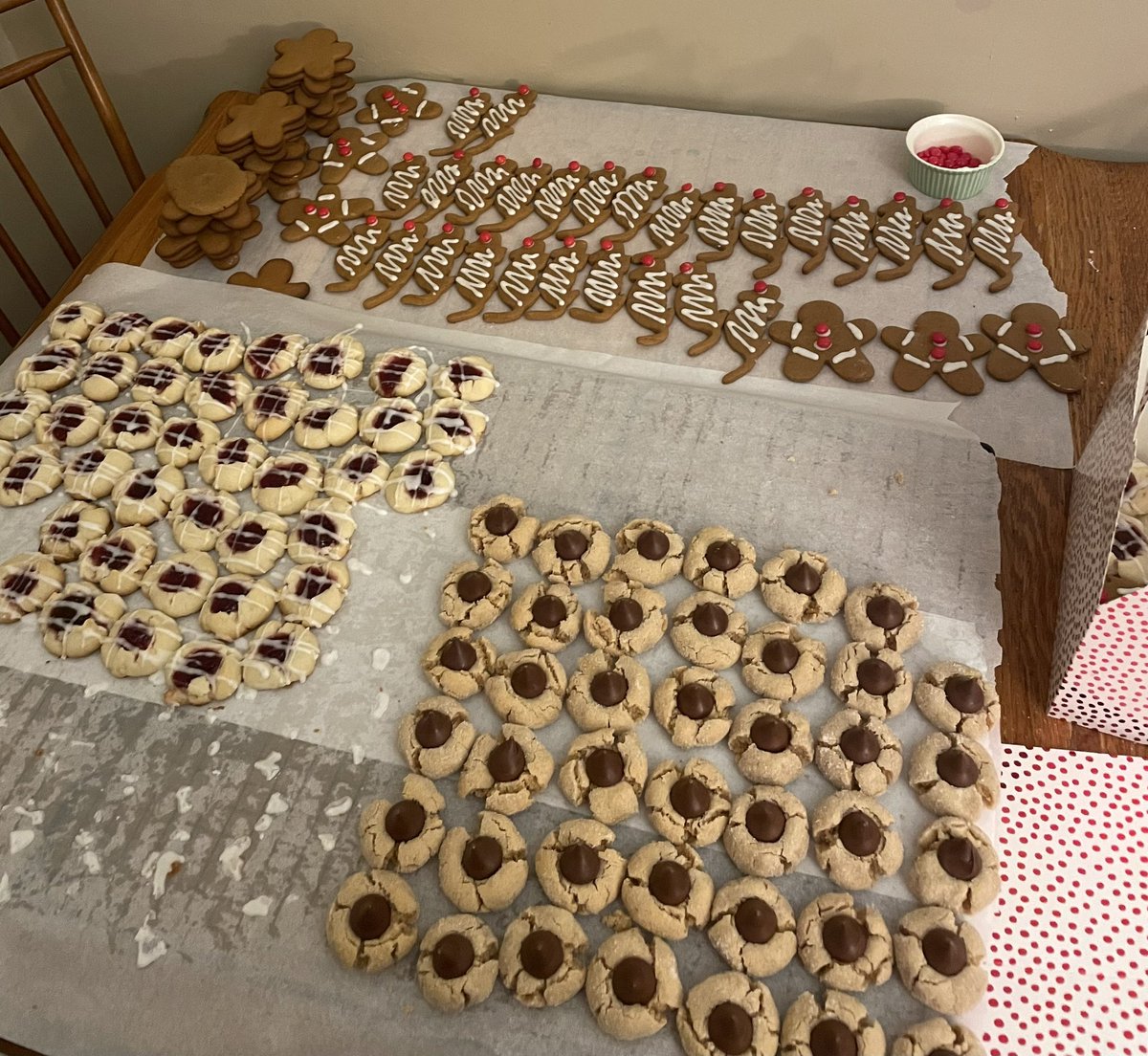 Excited to spend time with friends and family after a busy semester! 🎄 First time TAing ✅, prospectus (aka comps) prep ✅, getting my Masters ✅, and squeezing in some time for cookie baking  ✅