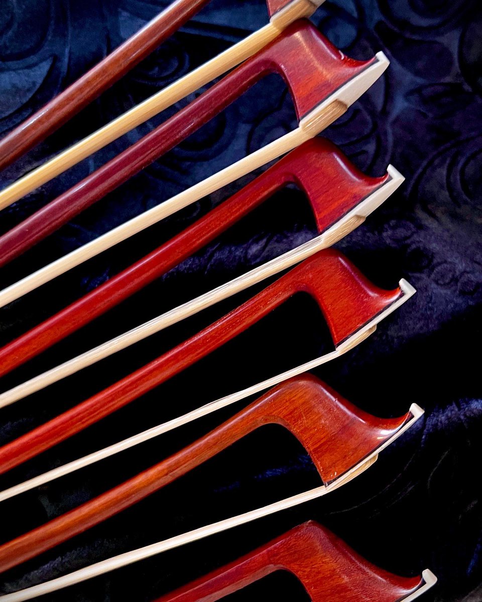 FeinViolins's tweet photo. Here’s a great holiday tip for the string player in your life! Put a bow on it! https://t.co/sQsDjkJ5xq has a great bow sale going on now! #fineviolins #feinviolins #violinshop #violinbow #violabow #cellobow https://t.co/sGeddCCQ7w