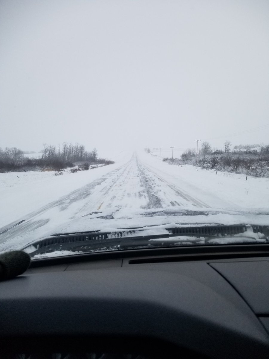 Beauty day for a drive to meadow lake, and shit, while ur there come buy some cows! Or watch the sale on dlms with a drink in ur hand. #bidhigh