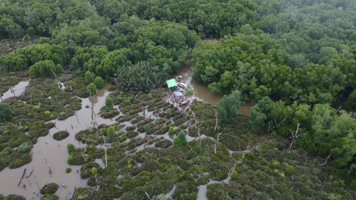 Planet Indonesia tweet media