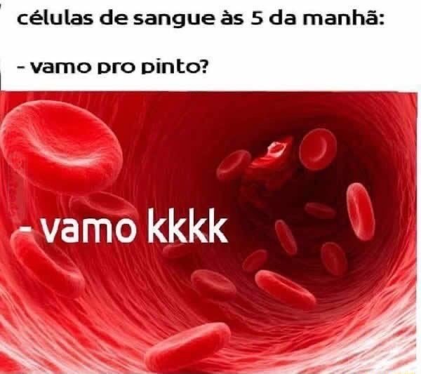 shitpostverdade's tweet photo. https://t.co/deNczSJpVC