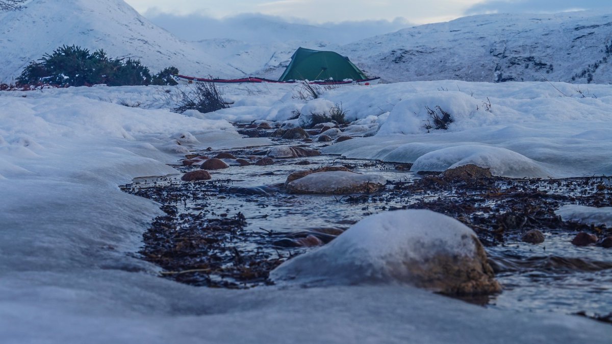 Nick Ray tweet media