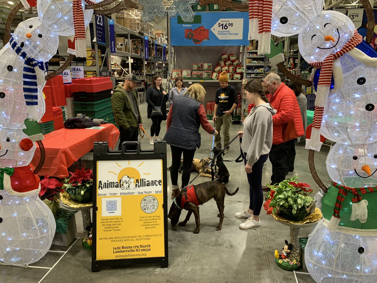 Brian O'Neil tweet media