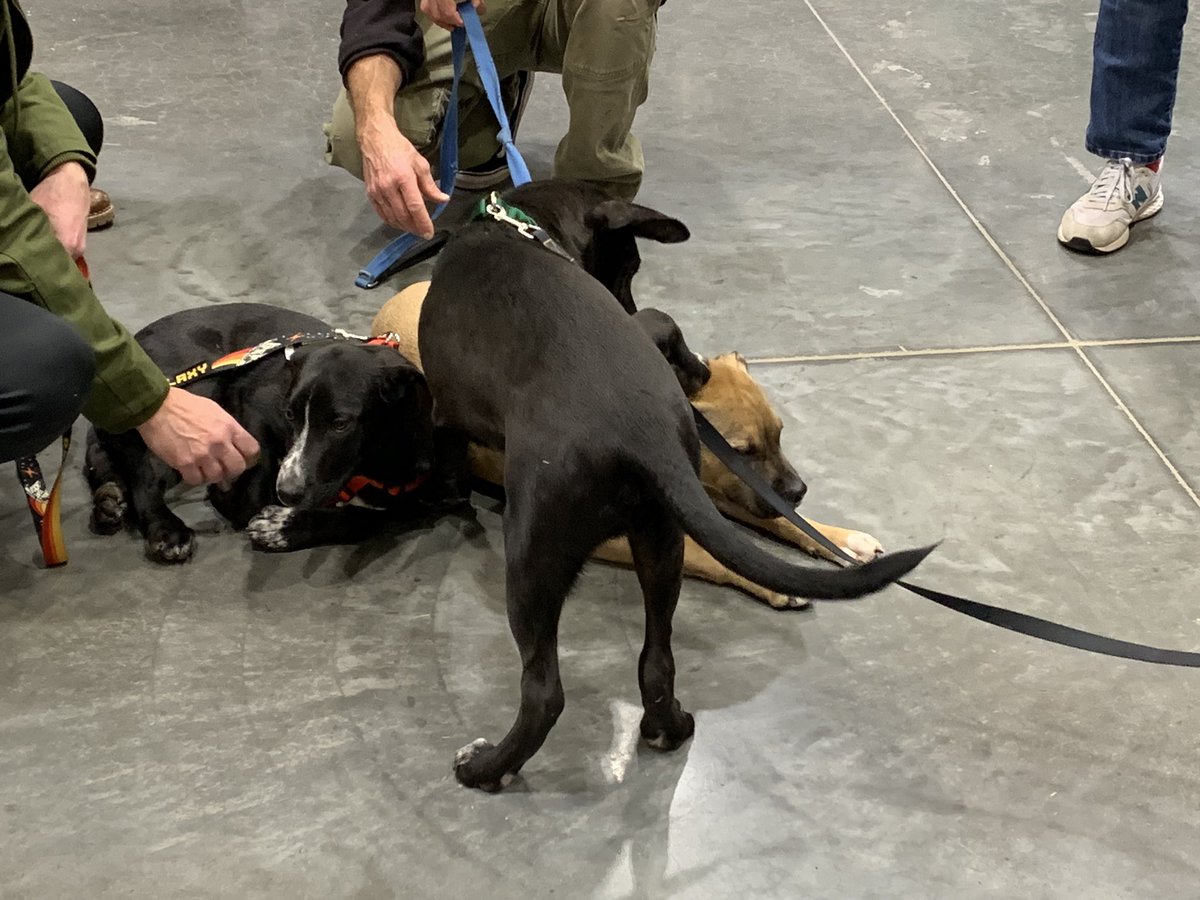 Brian O'Neil tweet media