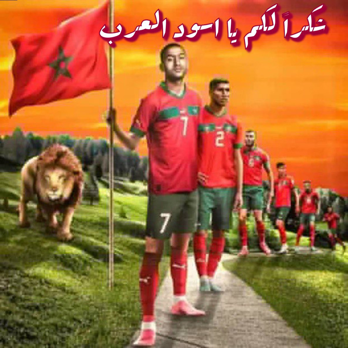شكراً لكم يا اسود العرب🇲🇦