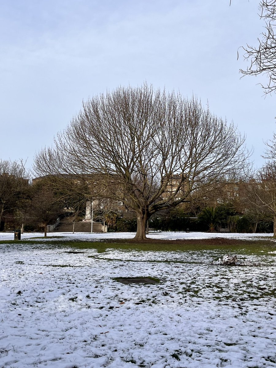 matt_shoreditch's tweet photo. A Winter Saturday. #AllotmentKitchen https://t.co/DeNoyVxXKA