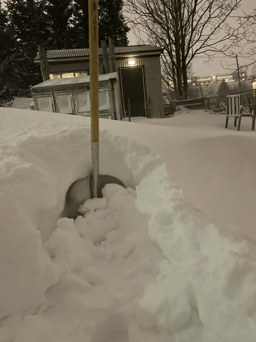 LiljaWriter's tweet photo. Just shovelling my way to the chicken house … Heavy snow in Reykjavík today! 
#iceland #snow https://t.co/vcn5vocGpg