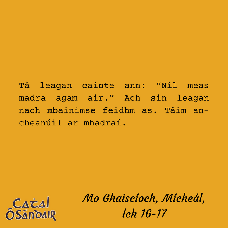 COSandair2022's tweet photo. Blaiseadh de Mo Ghaiscíoch, Mícheál (1965) | A taste of Mo Ghaiscíoch, Mícheál (1965)

Madraí abú! | ♥️🐶

Téacs/Text © @AnGumFnaG 

#cathalosandair2022 #comoradh #gaeilge #reicscarlo https://t.co/519IUHG4zC