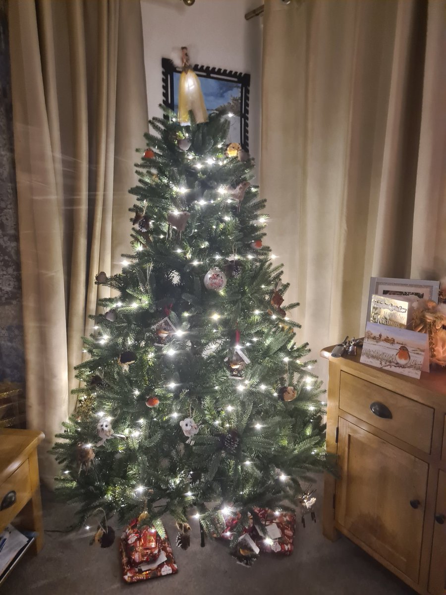 Keith McAdam 🏴󠁧󠁢󠁳󠁣󠁴󠁿 tweet media