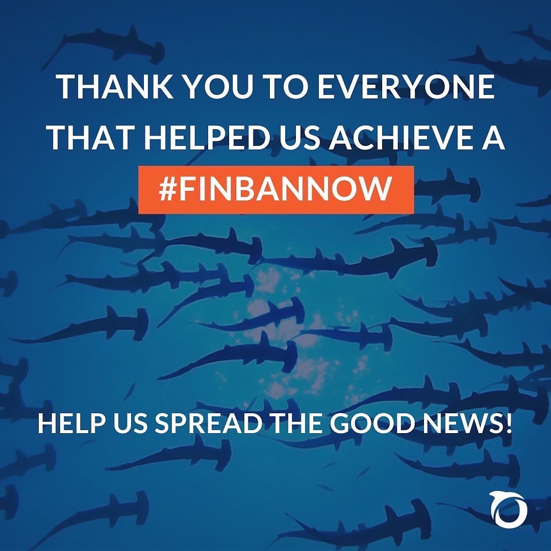 So excited that this bill is at the finish line! #finbannow USA.oceana.org