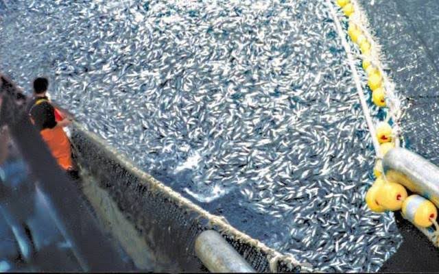 GO GREEN tweet media