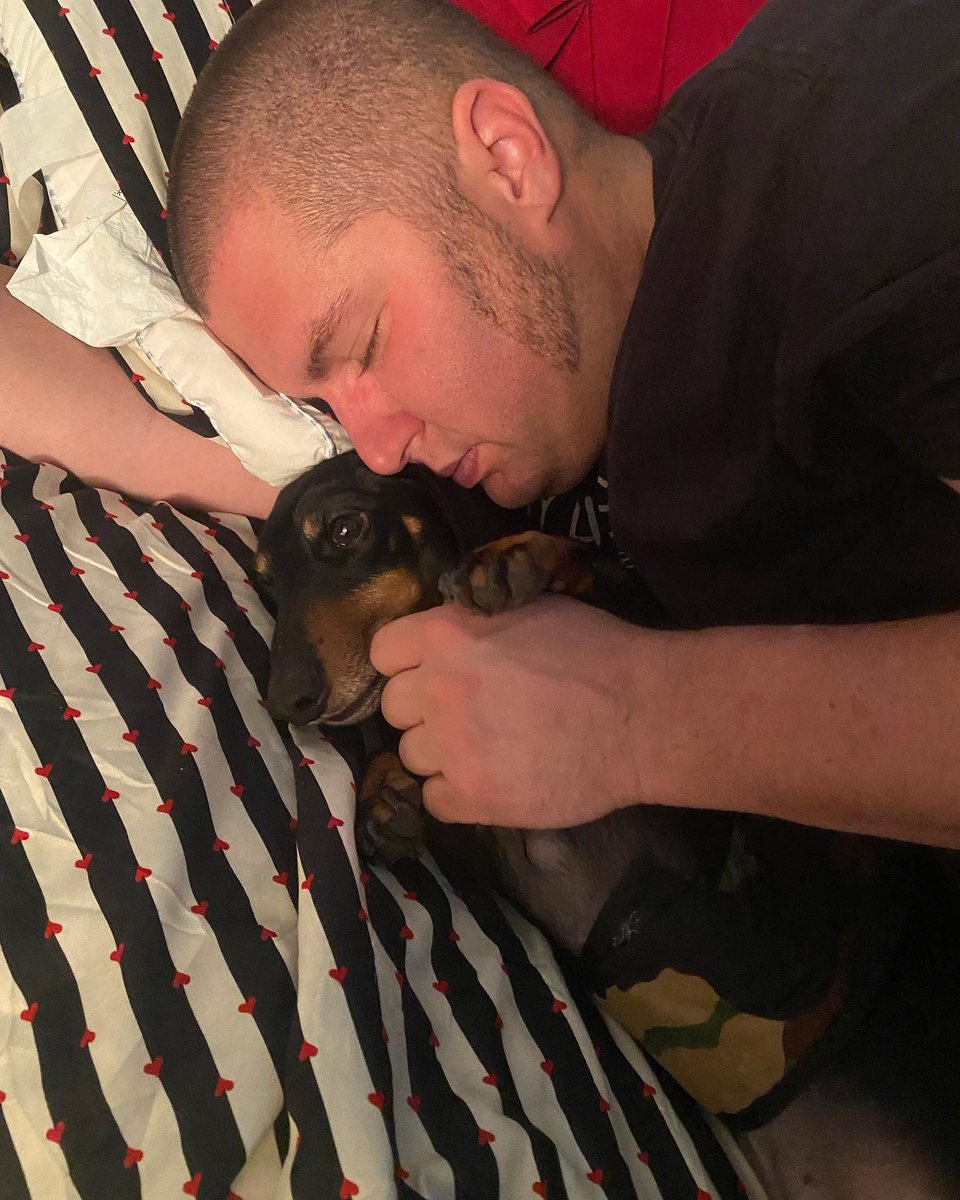 Libitina78's tweet photo. ❤️my snuggle buddies❤️ https://t.co/co5hcV6WYx