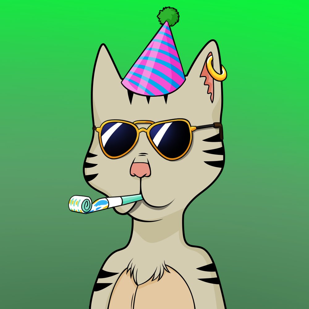 Happy #Caturday fam! This @BossCatRC is ready to party and for good reason with BCRC 1 year anniversary tomorrow! What an exciting accomplishment for the team and the moon is the limit for what they will achieve next! 🚀🎉🥳