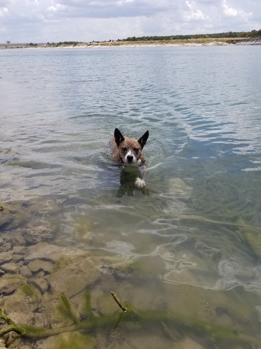 mosprinks's tweet photo. Gypsy appreciation post https://t.co/dT26dzIjiQ