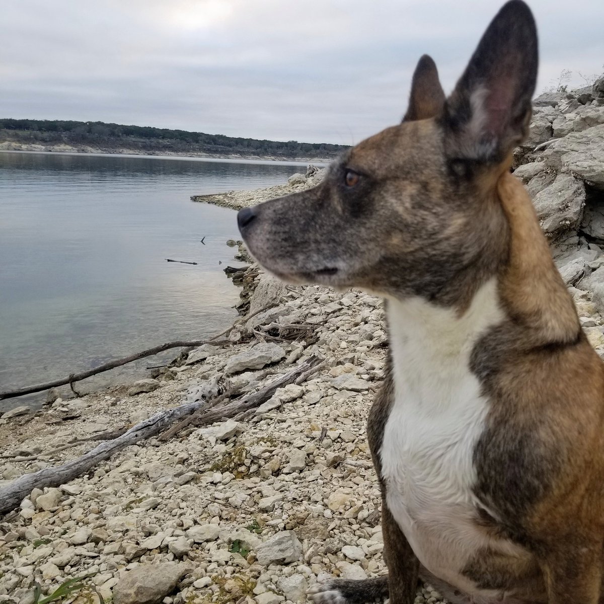 mosprinks's tweet photo. Gypsy appreciation post https://t.co/dT26dzIjiQ