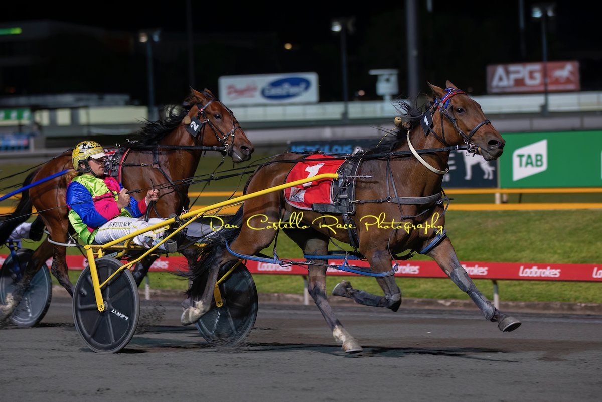 TheCreekAlbion's tweet photo. Race 7 @Ladbrokes It! @TheCreekAlbion Members Cup won by the Greg Elkins trained Congo Line driven by @Justin_elkins99 https://t.co/JyM1XmLUwp