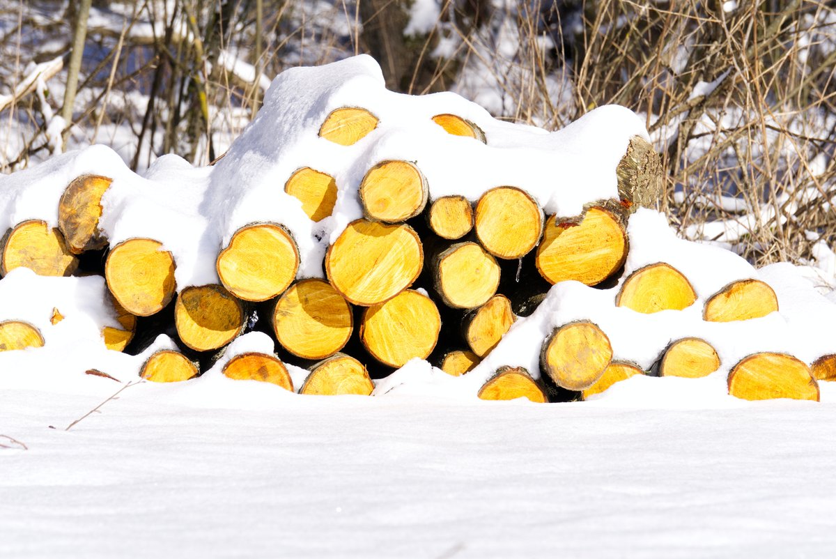 Are you looking to cosy up by the fire this Christmas? 🔥

We have quality hardwood logs at affordable and competitive prices.

1.1 cubic metres - £120
2.2 cubic metres - £205
20kg bag - £6

Take a look: realchristmastreefarm.co.uk/logs

#christmas #christmastree #logs