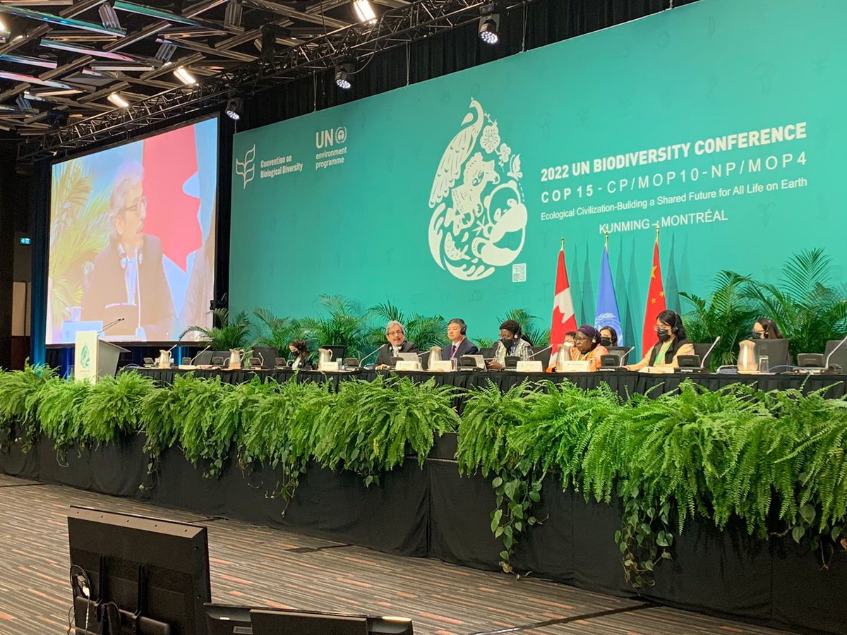 As champion of the Sharm El Sheikh to Kunming and Montreal Action Agenda for Nature and People, I reported back on the High Level Segment Plenary of @CBD_COP15 and welcomed the strengthening of the agenda and next steps we are taking based in the whole of society approach.