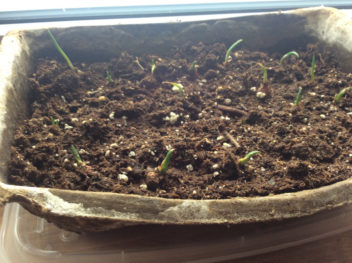 Scott Ecological Fund tweet media