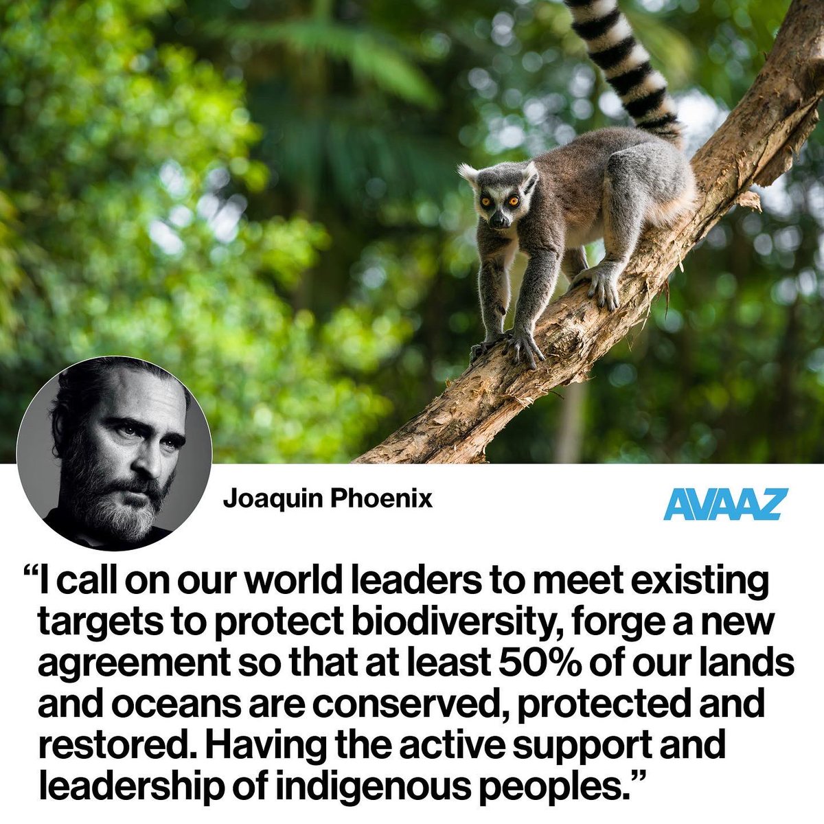 Joaquin Phoenix has endorsed a new petition aimed at UN delegates asking them to follow science and conserve and restore at least 50% of our Planet.
#NatureNeedsHalf @Avaaz #COP15

Sign your name: avaaz.org/50x2030