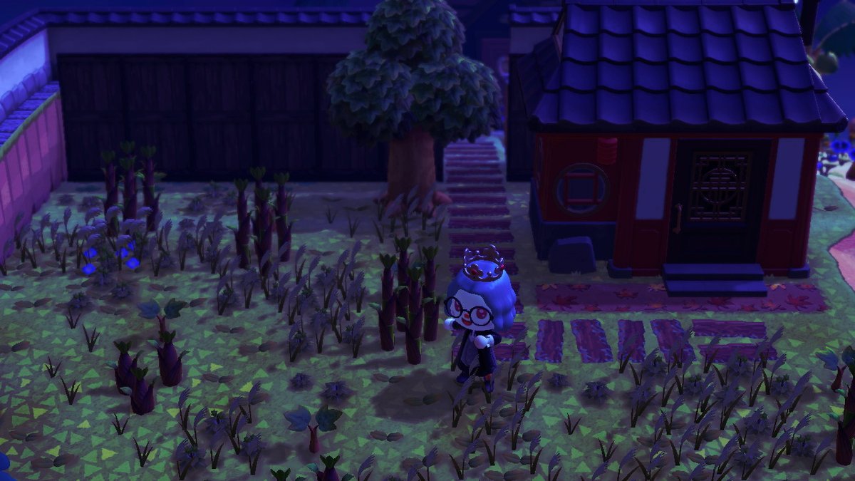 anicro4's tweet photo. #AnimalCrossing #ACNH #NintendoSwitch https://t.co/46EQqWOfdI
