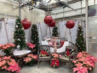 Meadow_View's tweet photo. Perfect for family photos, selfies, or just to relax while you pick up last-minute gifts. https://t.co/Svq0FuQlhp