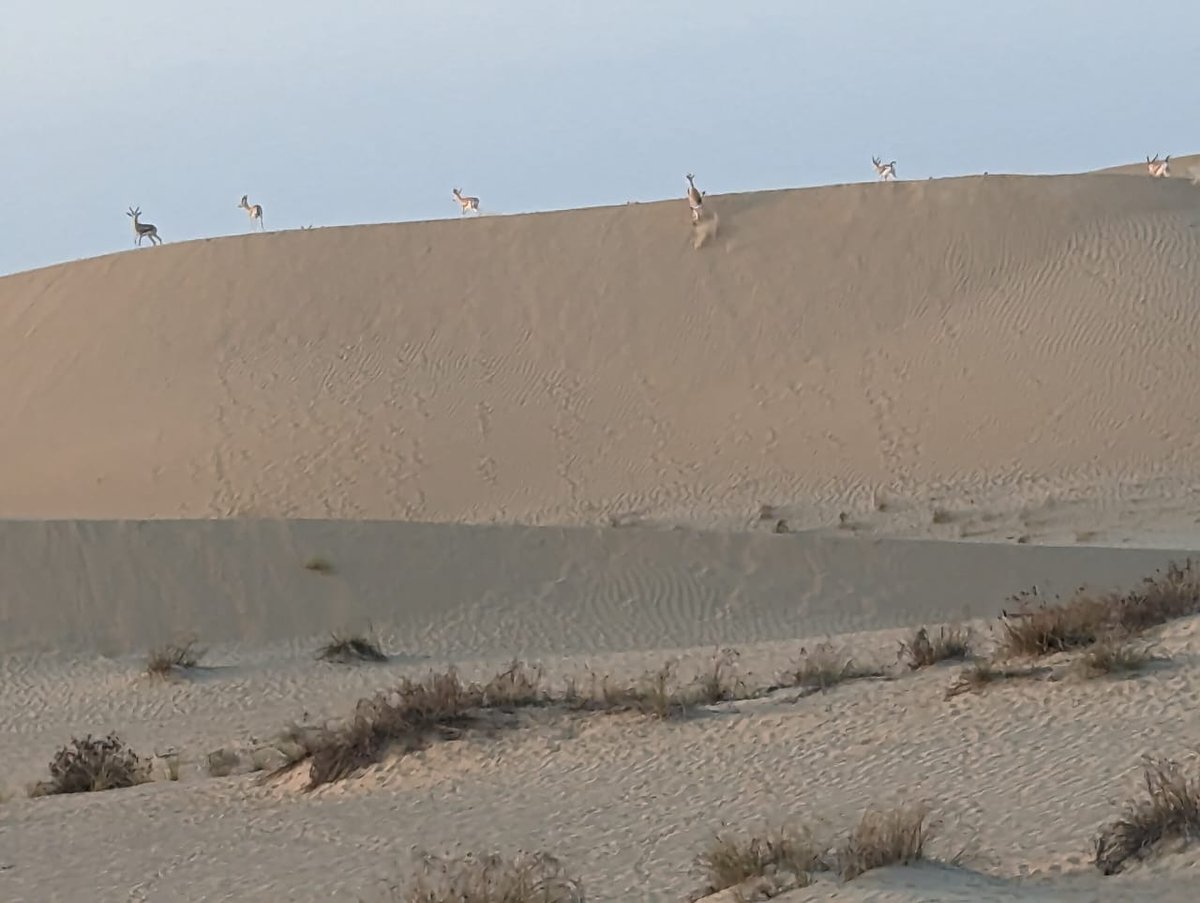 I sent this snowy pic and my brother responds with his own...which one are you right now? 🥴