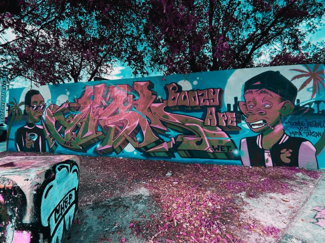 boozyape's tweet photo. 😎Hey guys, I'm not worried about this crypto crap, I'm drinking @Hennessy and enjoying graffiti on #wynwoodwalls #bamp #boozyape https://t.co/eqeRCnClo1