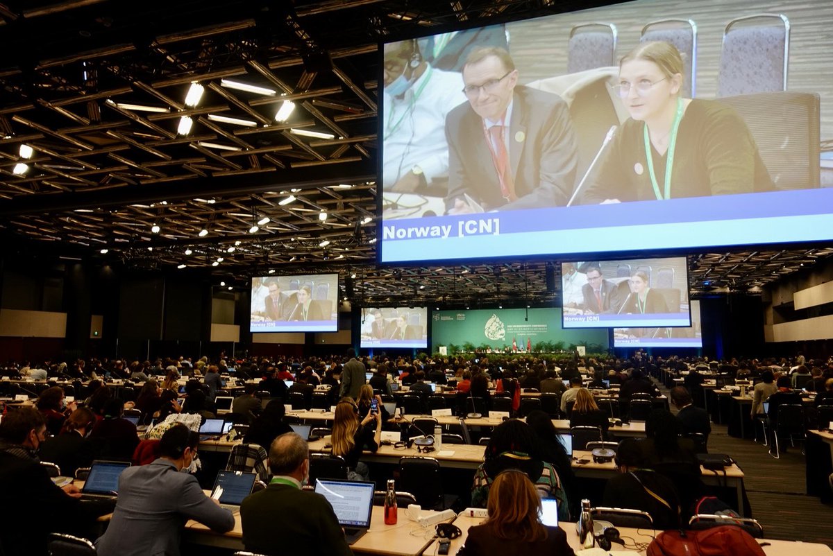 Klima- og miljødep tweet media