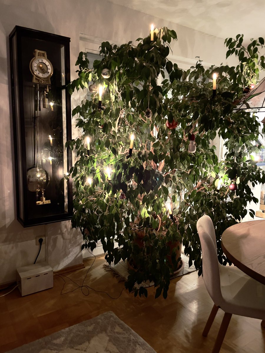 Der „Weihnachtsbaum“ leuchtet 🎄😊