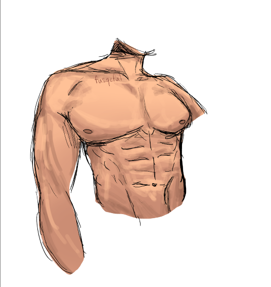 fusqeful's tweet photo. Found my drawing tablett!!!!!! YESSS!!!1! Practicing male anatomy, digital is so much better ＼(＾▽＾)／ https://t.co/ZVvf7yYmxj