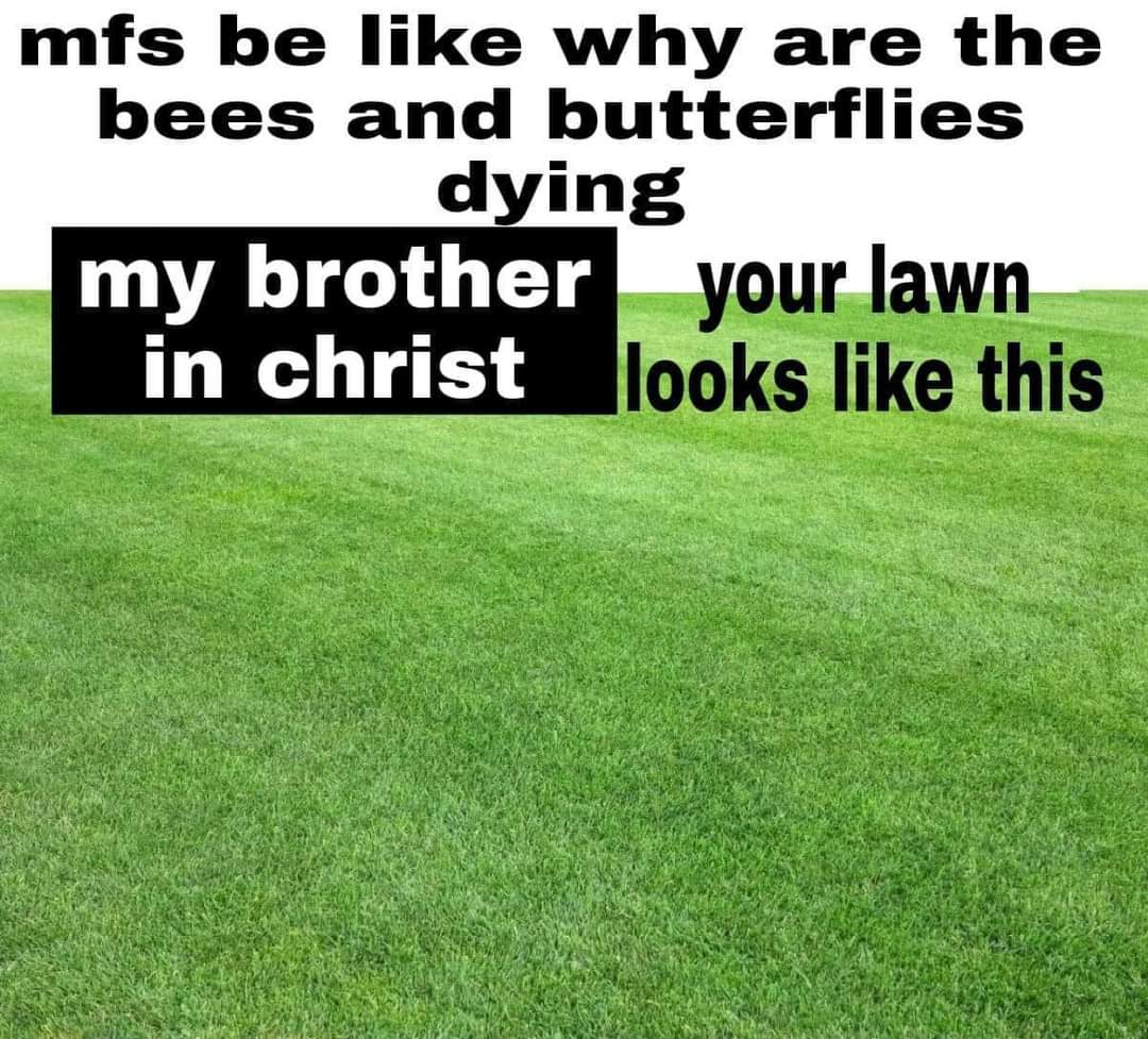 Orwell & Goode (@orwellngoode) on Twitter photo 