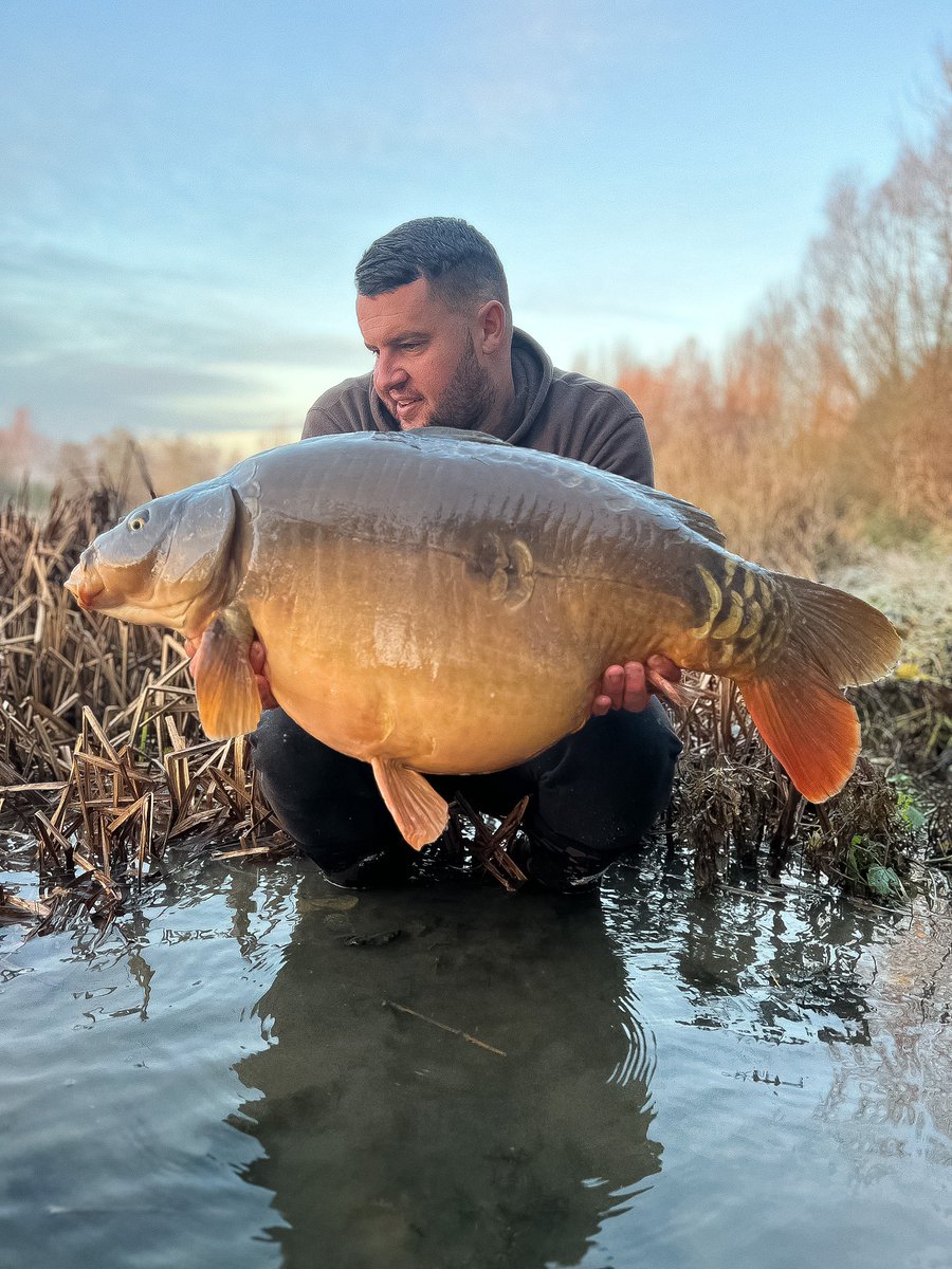 One subtle show in amongst a group of coots was all it took…..well below zero at night but accurate baiting kept them bobbins bouncing, a cold water December 40lb 4oz mirror 💪🏼