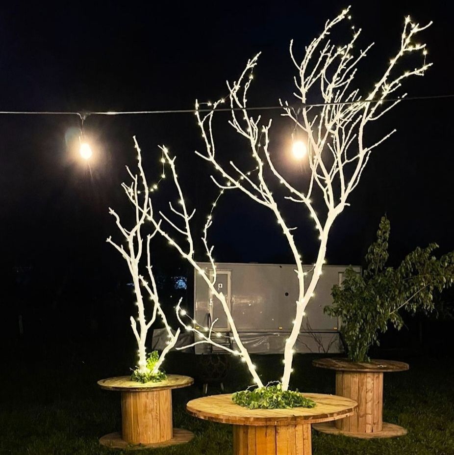 MjmMarquees's tweet image. This year more than ever, we were amazed at the ways in which our clients used lighting to enhance their own weddings. Here are just a few of our favourite lighting setups from 2022. 📸✨ 

🔗: buff.ly/3FCJIa1

#weddingseason #eventsni #lighting