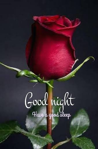<a href="/Shaina__Chudry/">Shaina____Chudry</a>