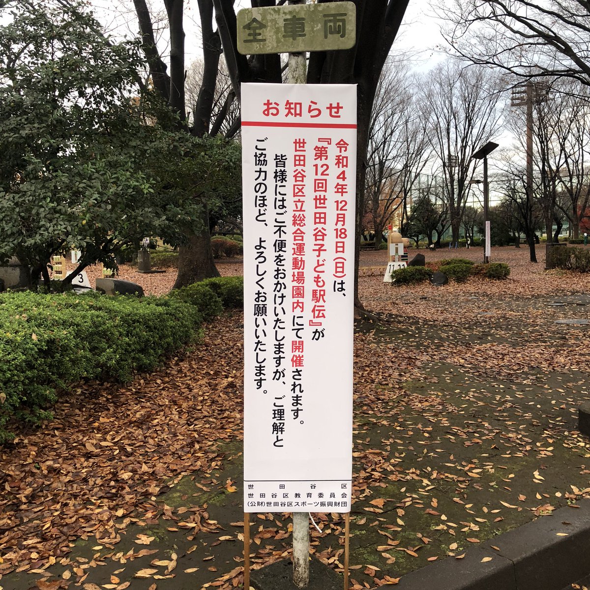 高評価の贈り物 前かご取付可能!ご試乗ください! www.villademar.com
