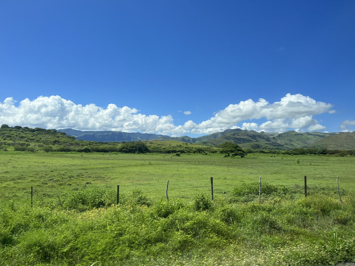 queenjuliann_fj's tweet photo. - beautiful scenes out here along the Kings Road.
Meanwhile neitou basi ‘My Back, My Neck’ tiko on this Sunny Sunday 💀
Lessgo Kirakira 😄 #Intercities tu ga https://t.co/jF3pGB6vH1