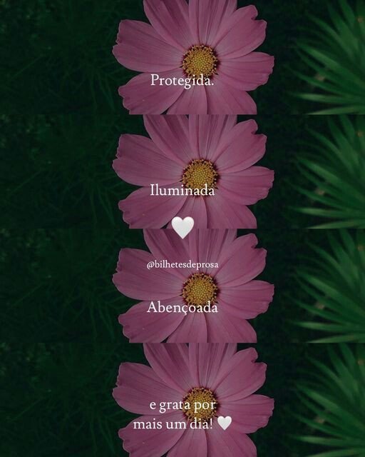 SouLiberdade_'s tweet photo. Bora seguir os amigos da Tag 

@Quartinha__
@elza_ge
@tiago_tasa
@iamjoanaramoz
@GrosselliRafa
@gichineando
@MarcosS89791621
@Zoa_Douglas
@ariana0ct7
@GiihAtraente
@Claudia_bonita0
@DoceComo_Limao
@AlmaIntense
@Mot_Fantasmaa

 #DomingoLiberdadeNoSDV https://t.co/GklMf1zduE