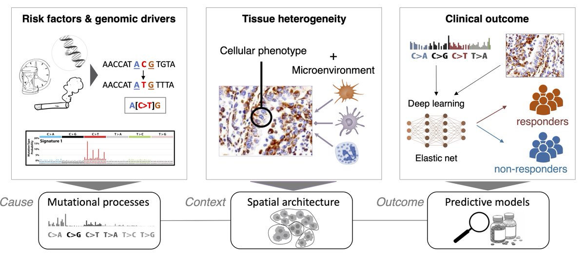 Maria Secrier tweet media