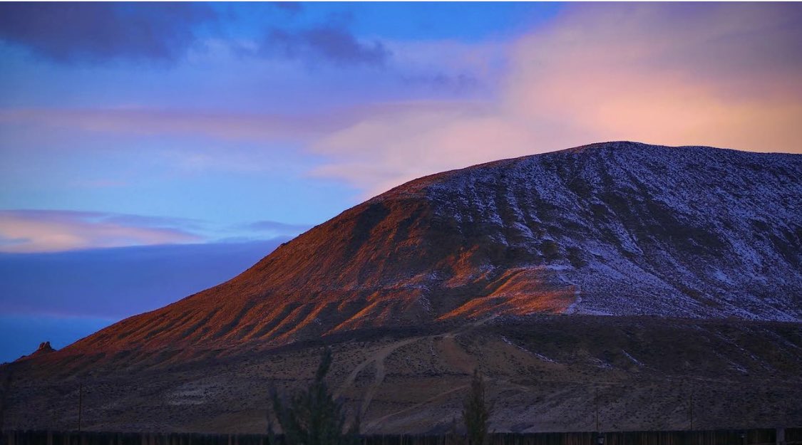 Will Roger tweet media