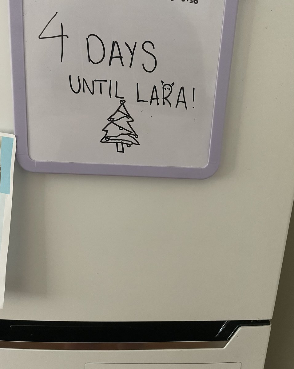antomay_'s tweet image. The best fridge countdown :)) 🎄