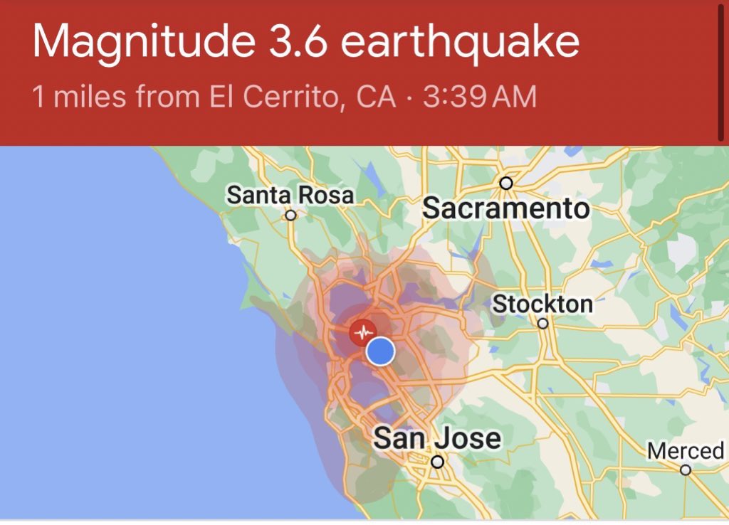Nicola Lyons Torres tweet media