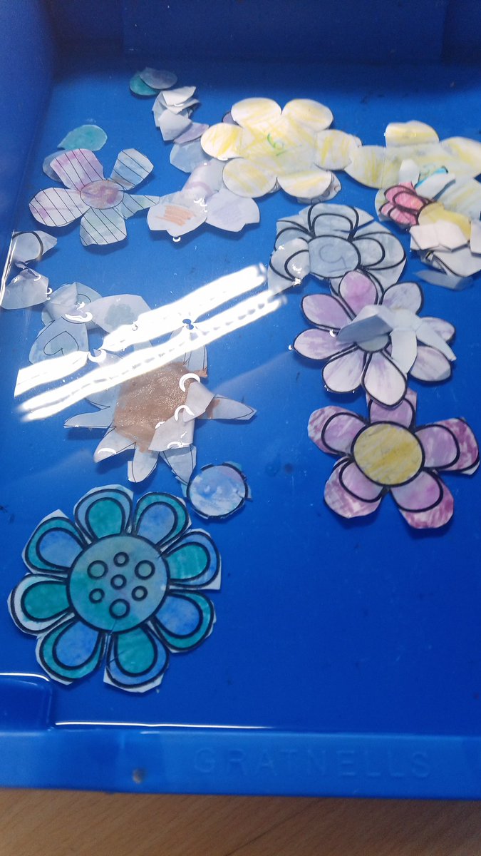 MissAliSPS's tweet photo. In Science we carried out an investigation using flowers made from paper, card and sugar paper. We changed the number of petals and discovered flowers with more petals opened out the quickest. Those made from sugar paper opened out instantly. #SummerswoodPS https://t.co/8WY6ranElr