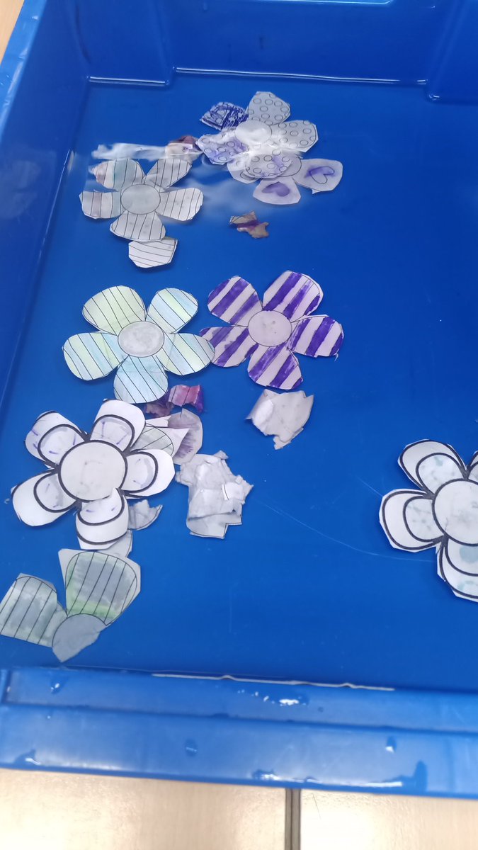 MissAliSPS's tweet photo. In Science we carried out an investigation using flowers made from paper, card and sugar paper. We changed the number of petals and discovered flowers with more petals opened out the quickest. Those made from sugar paper opened out instantly. #SummerswoodPS https://t.co/8WY6ranElr