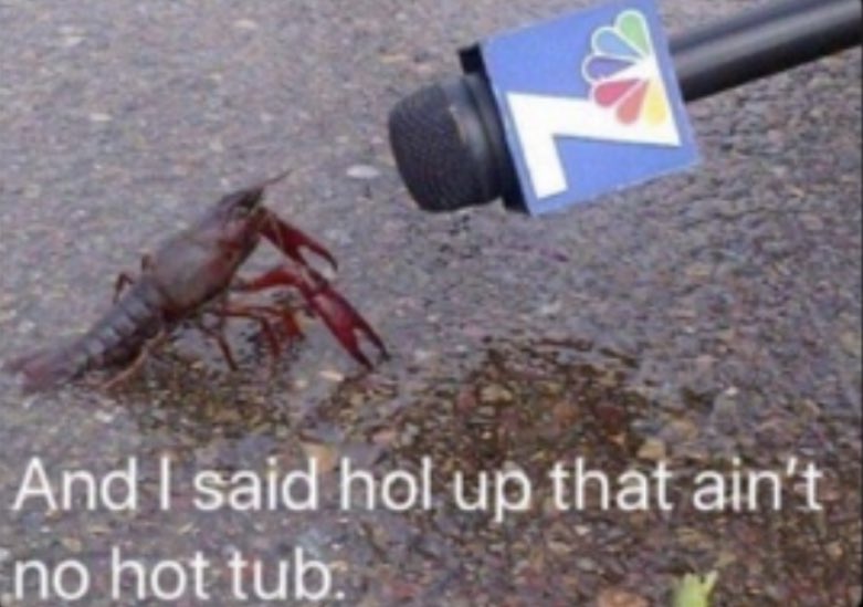this still cracks me up